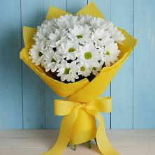 Букет цветов из:  Хризантемы в Мишеронский