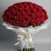 Букет 101 Красная роза Блэк Мэджик в Мишеронский