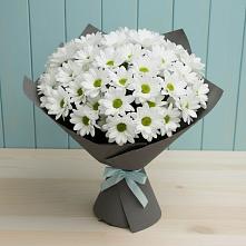 Букет цветов из:  Хризантемы #REPLACE_PRED# Мишеронский