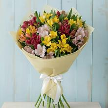 Букет цветов из:  Альстромерии в Мишеронский