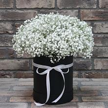 Цветочная композиция из Гипсофила в шляпной коробке #REPLACE_PRED# Мишеронский