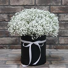 Цветочная композиция из Гипсофила в шляпной коробке в Мишеронский
